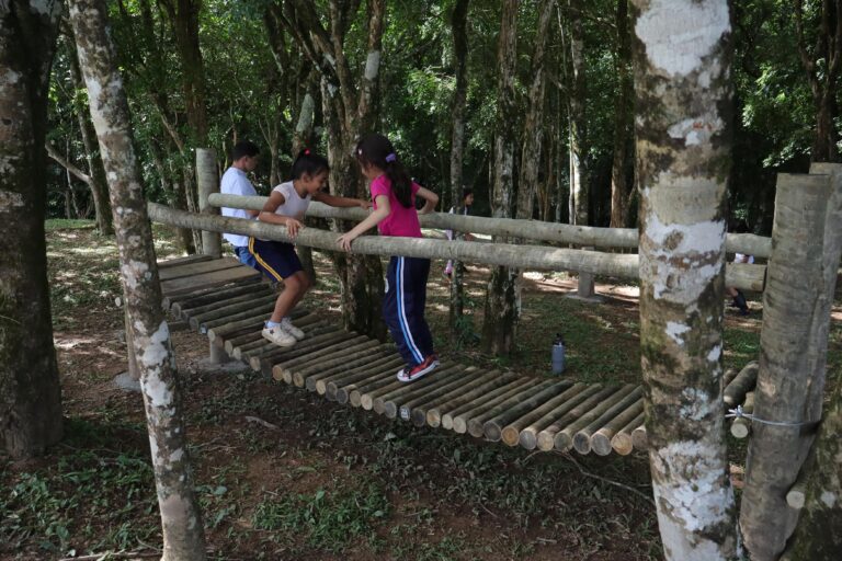 #CavanisBrasil #ParceriaSicredi #CasaDaCriança #BemEstarInfantil #InclusãoSocial #ParquinhoNatural #MissãoCavanis